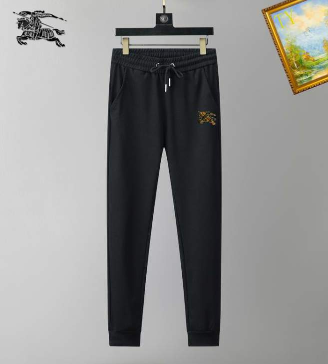 Picture of Burberry Long Pants _SKUBurberryM-3XL25tn3314248